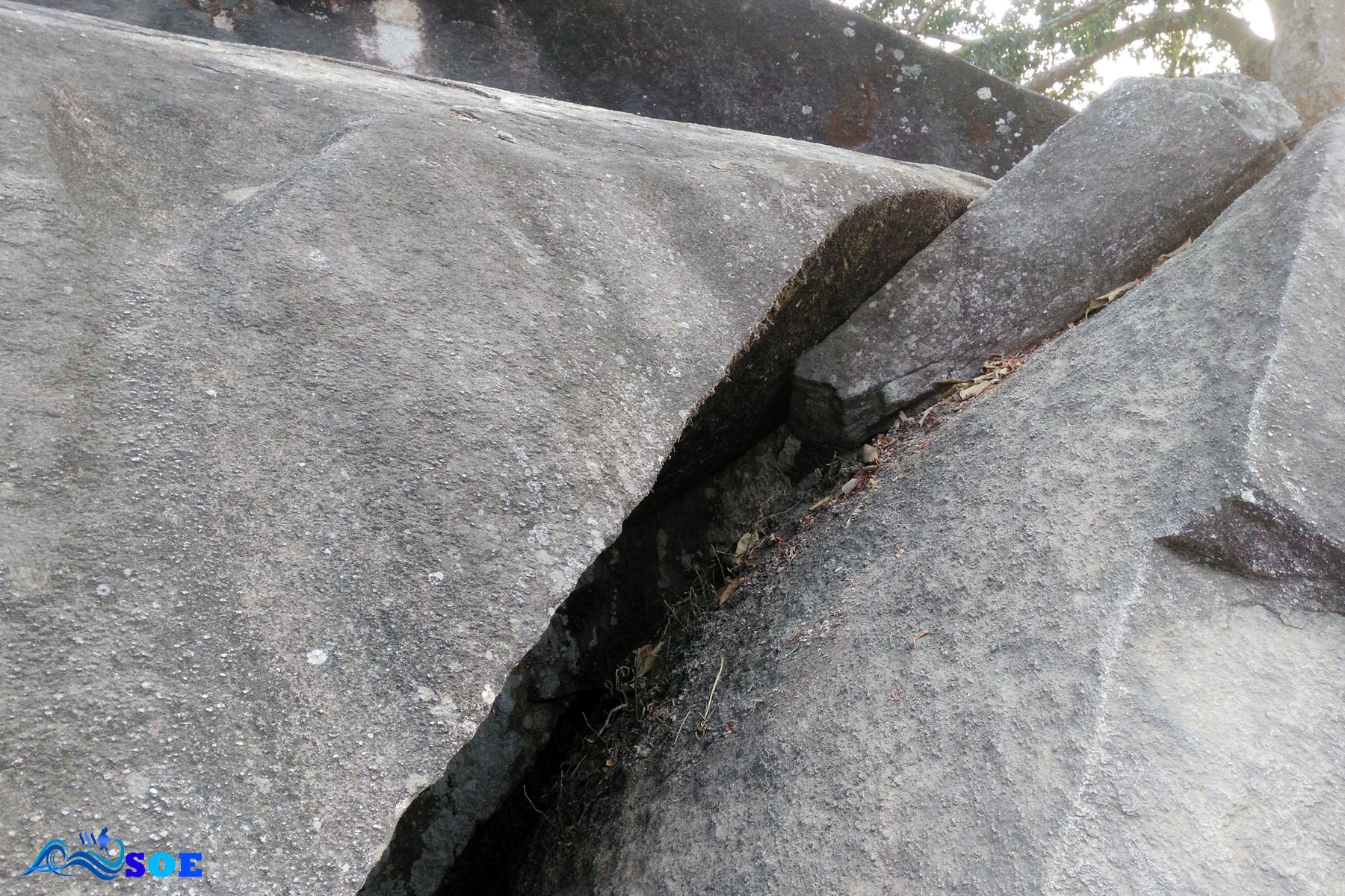 030.jpg
