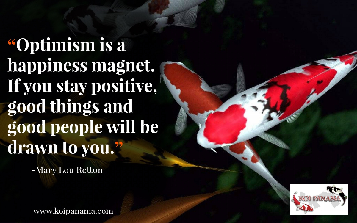 Koi-fish-Facebook-quote08.jpg