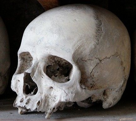 skull-3243503_1280-1.jpg