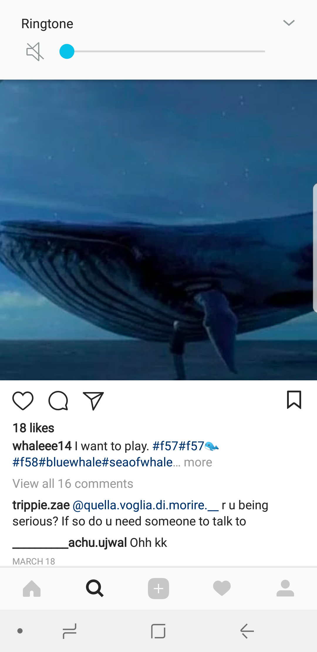 whale