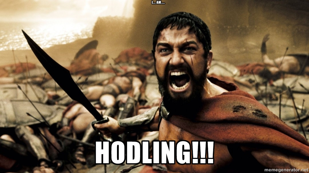 hodl.jpeg