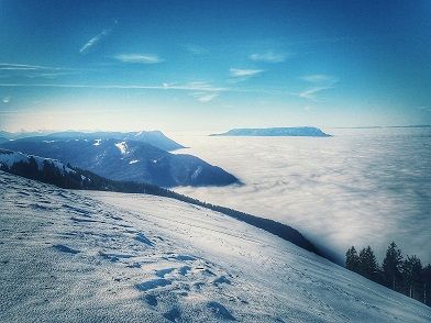 20180128_115517-01small.jpg