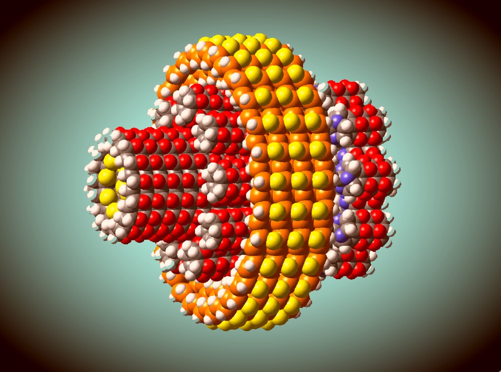 Nanob.jpg