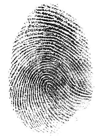 15223468-fingerprint-pattern-isolated-on-white.jpg