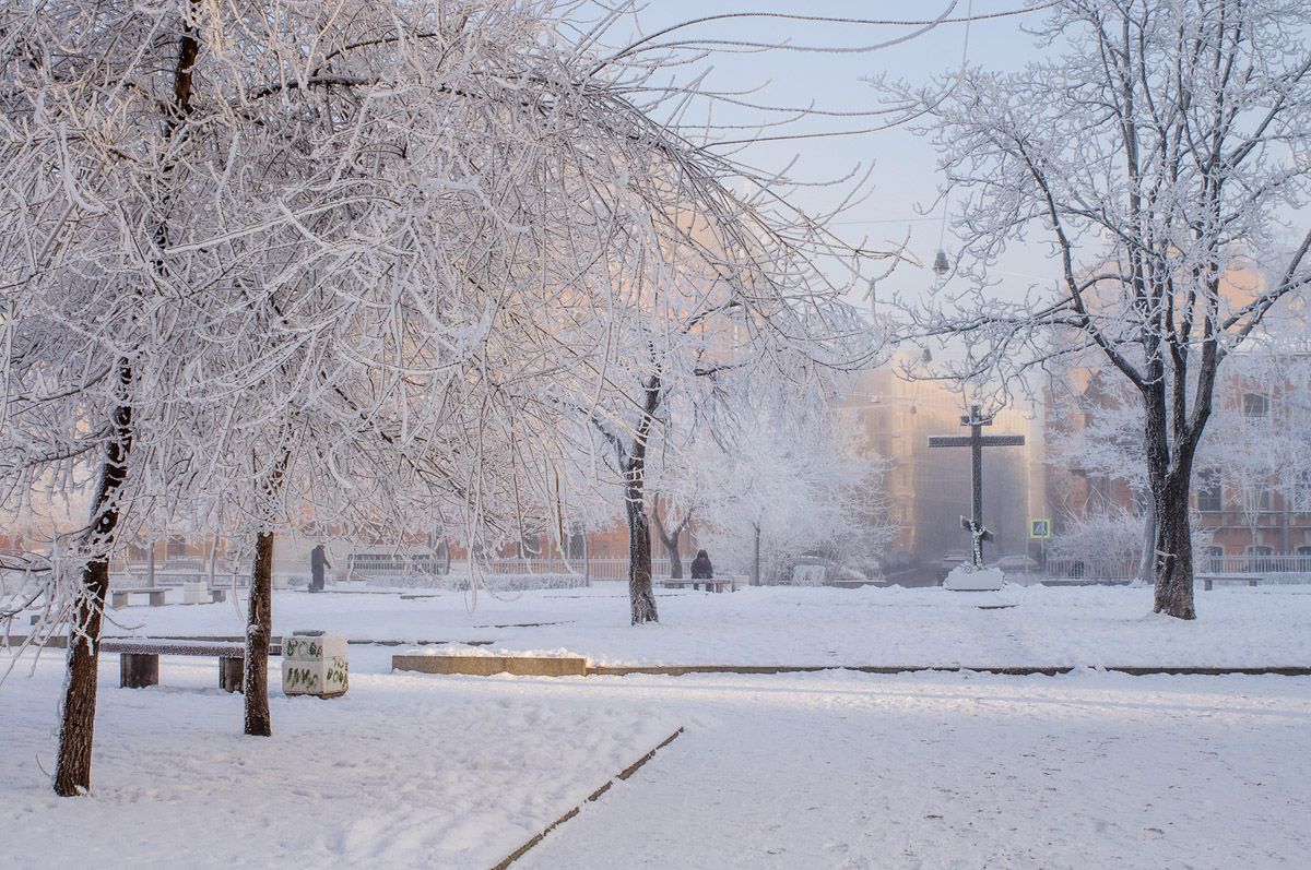 Snow last winter. Картинки последней зимы.