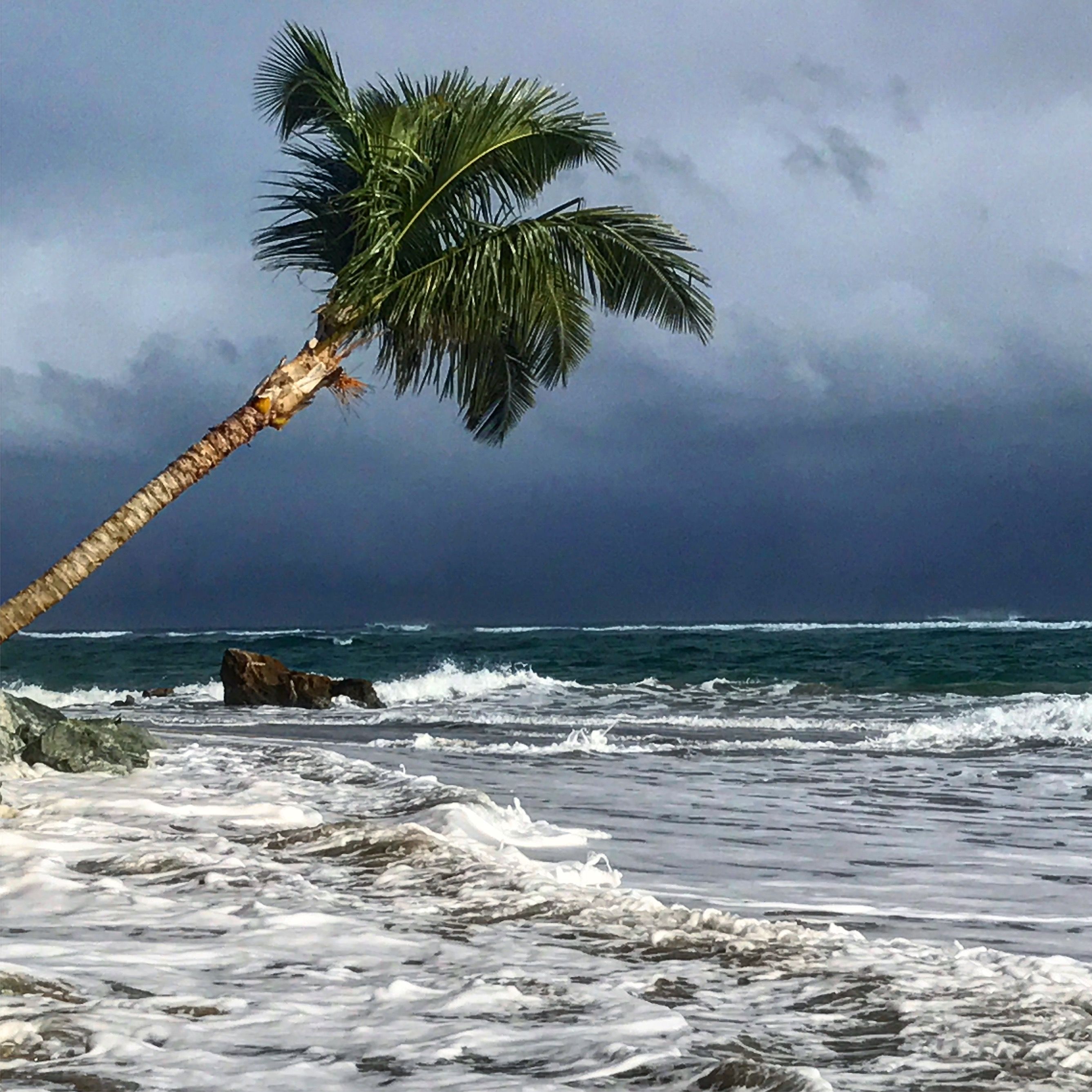 Wild ocean. Дикий океан. Дико океан. Есть такой океан дикий океан. Кто в диком океане.