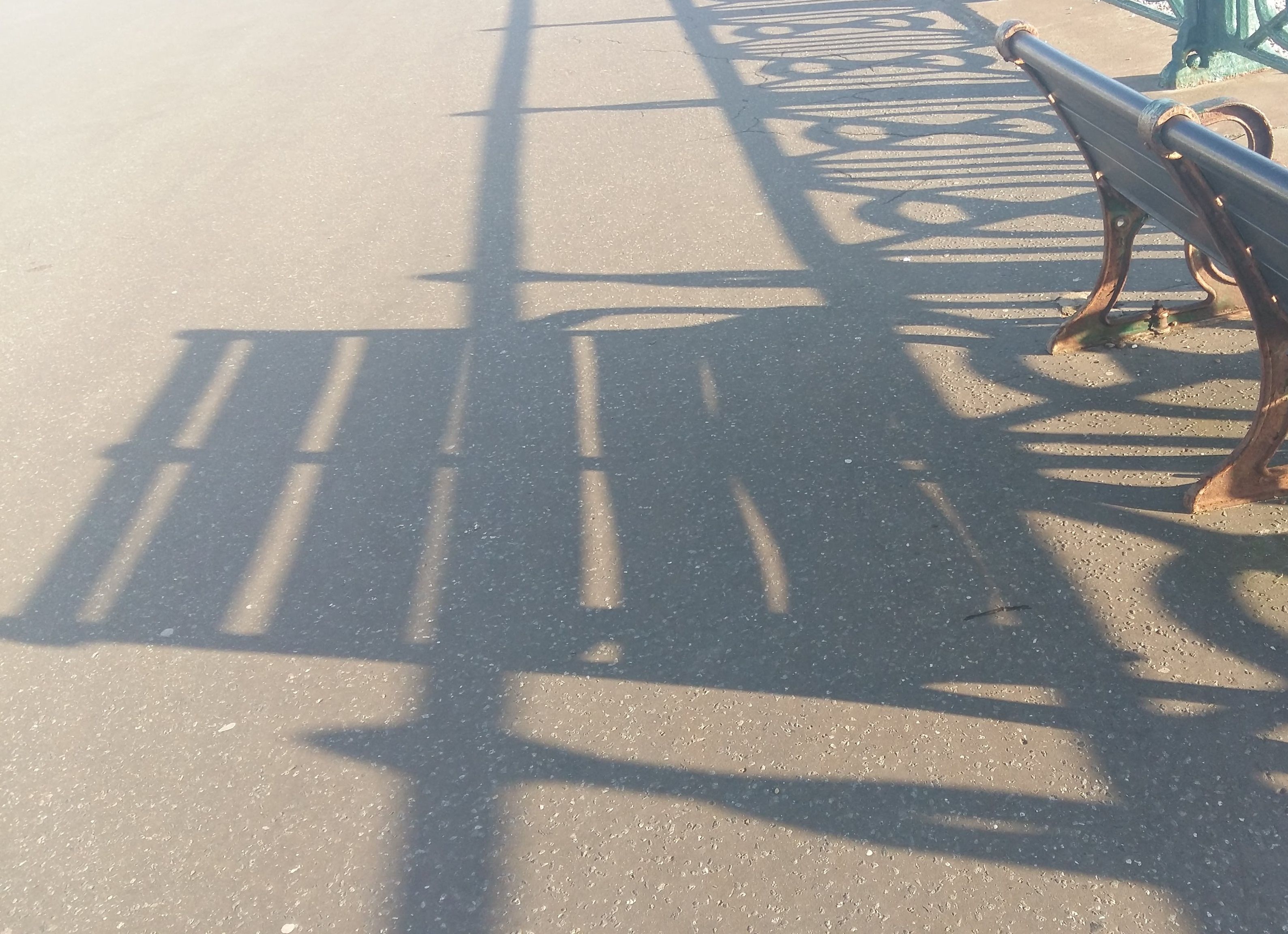 bench shadows.JPG