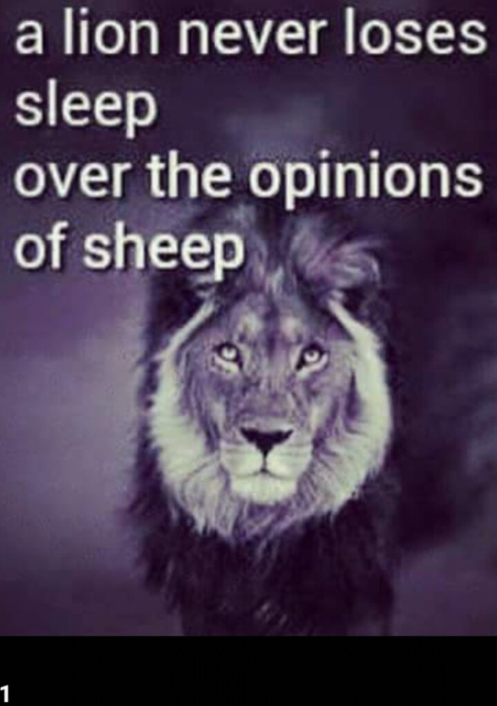 2c5f6cdfac91e9d9cd824481360cc7fc.jpg