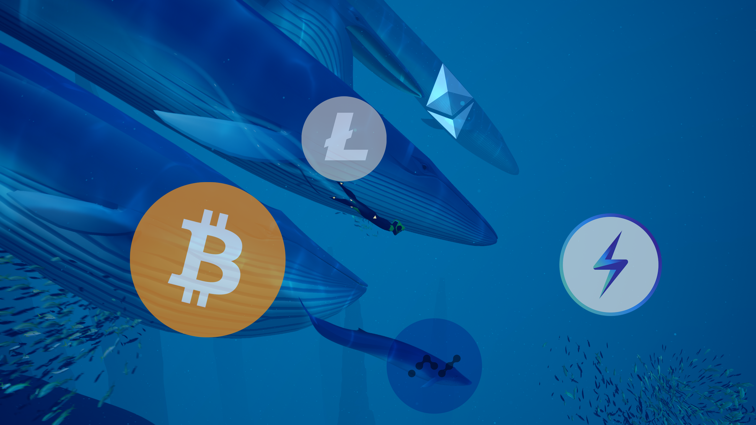 CryptoWhales_wallpaper_v2.png