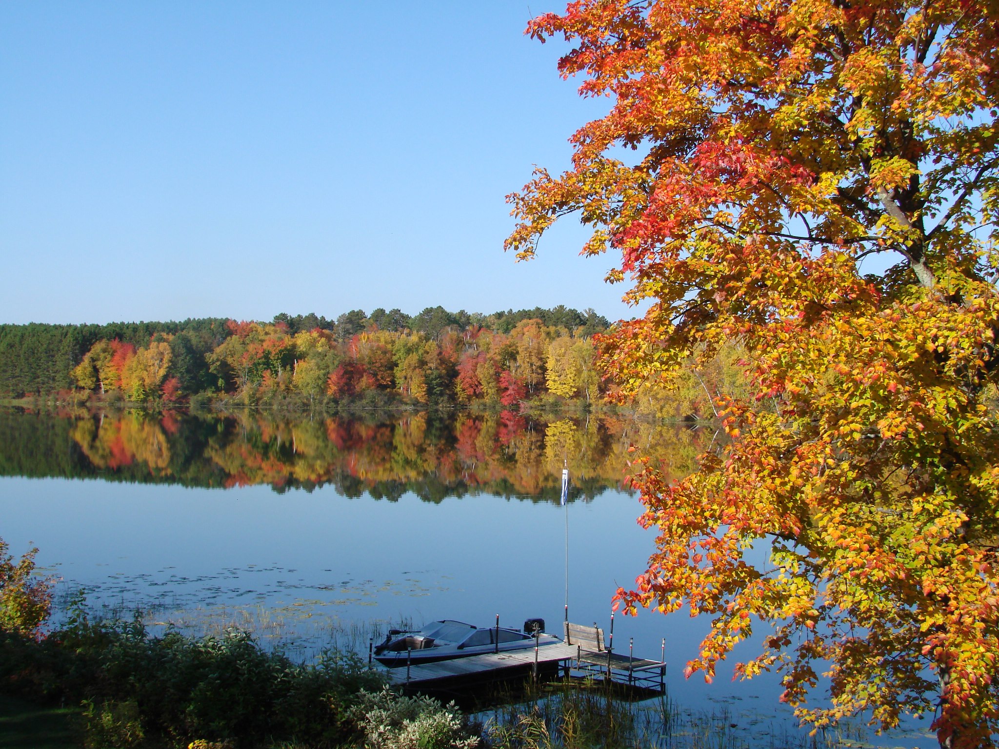 Fall Color off the deck.jpg