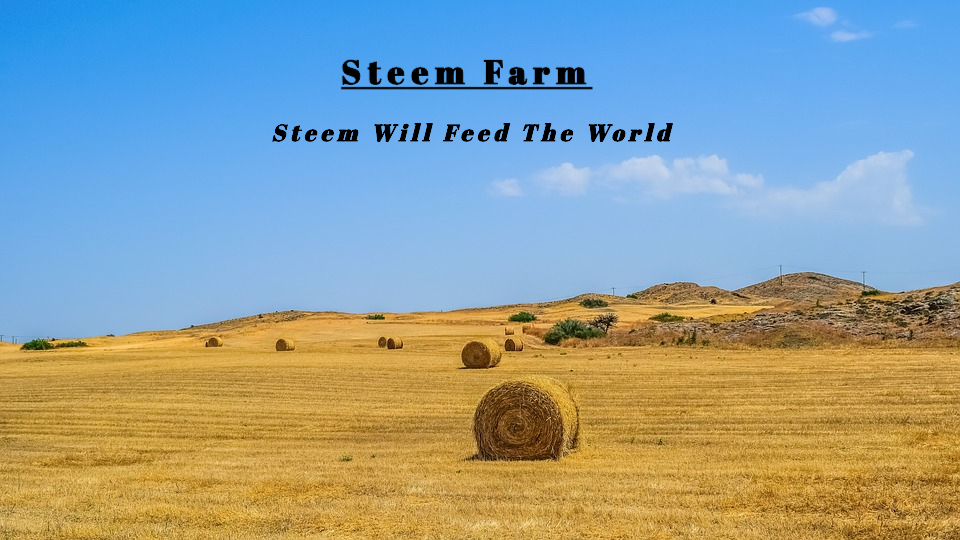 Steem Farm.jpg