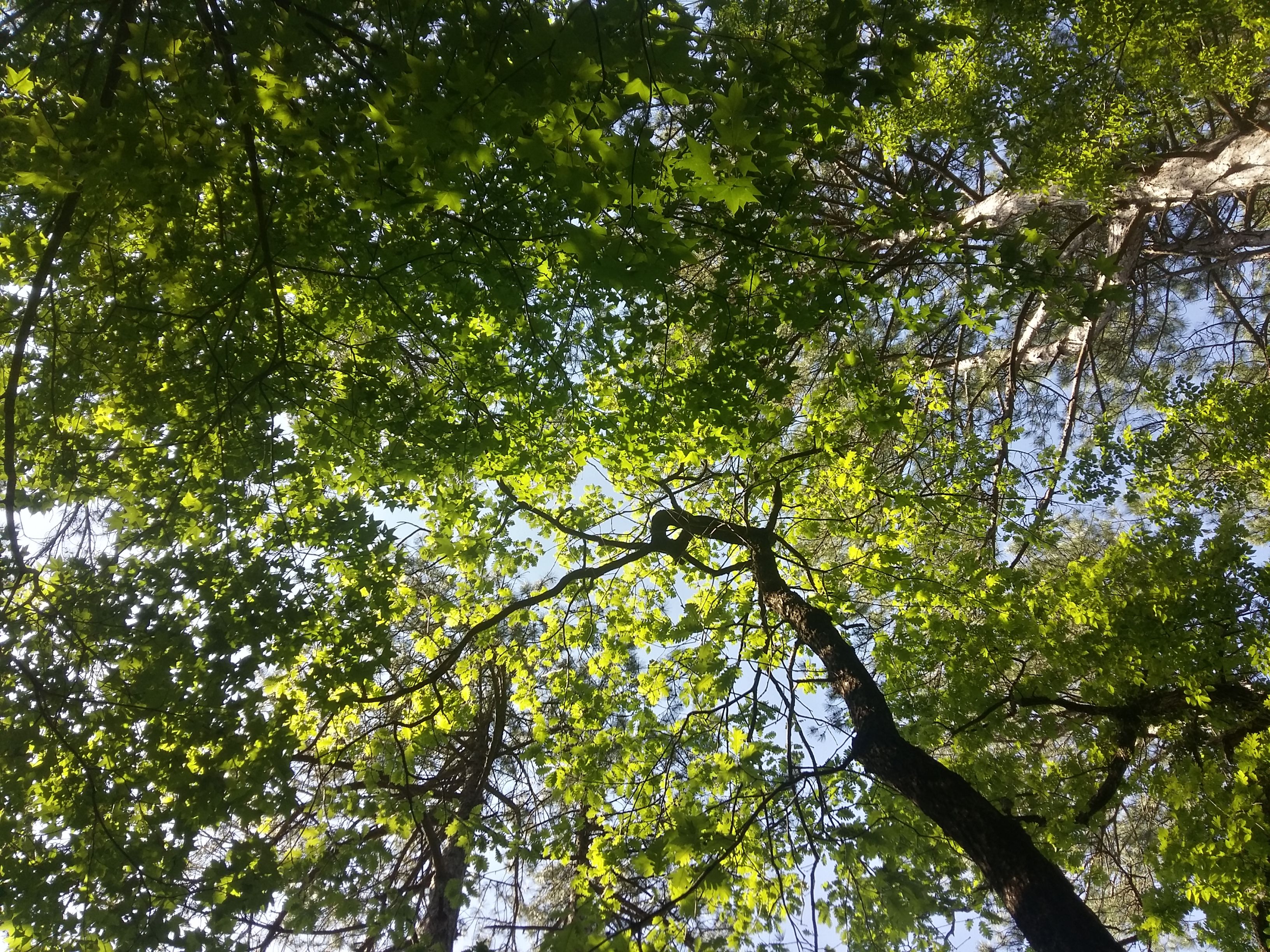20180502_153353_Richtone(HDR).jpg