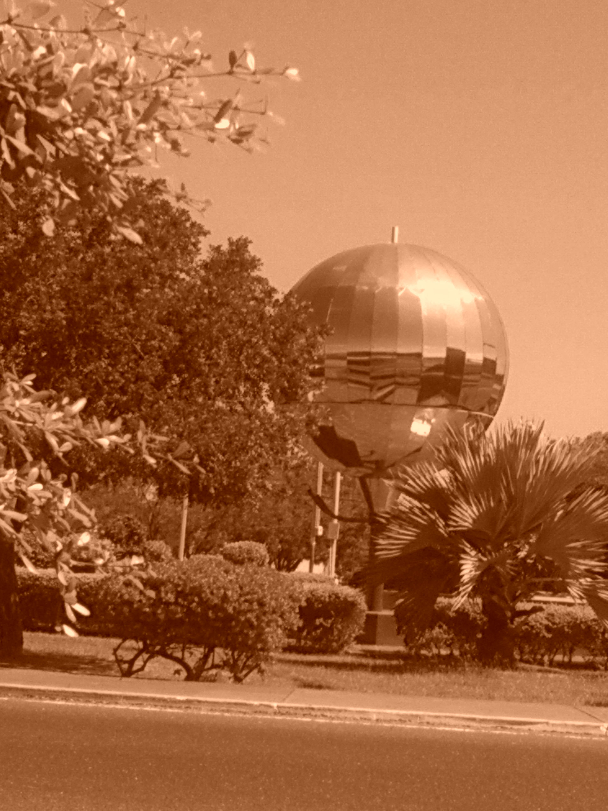 sepia1.jpg