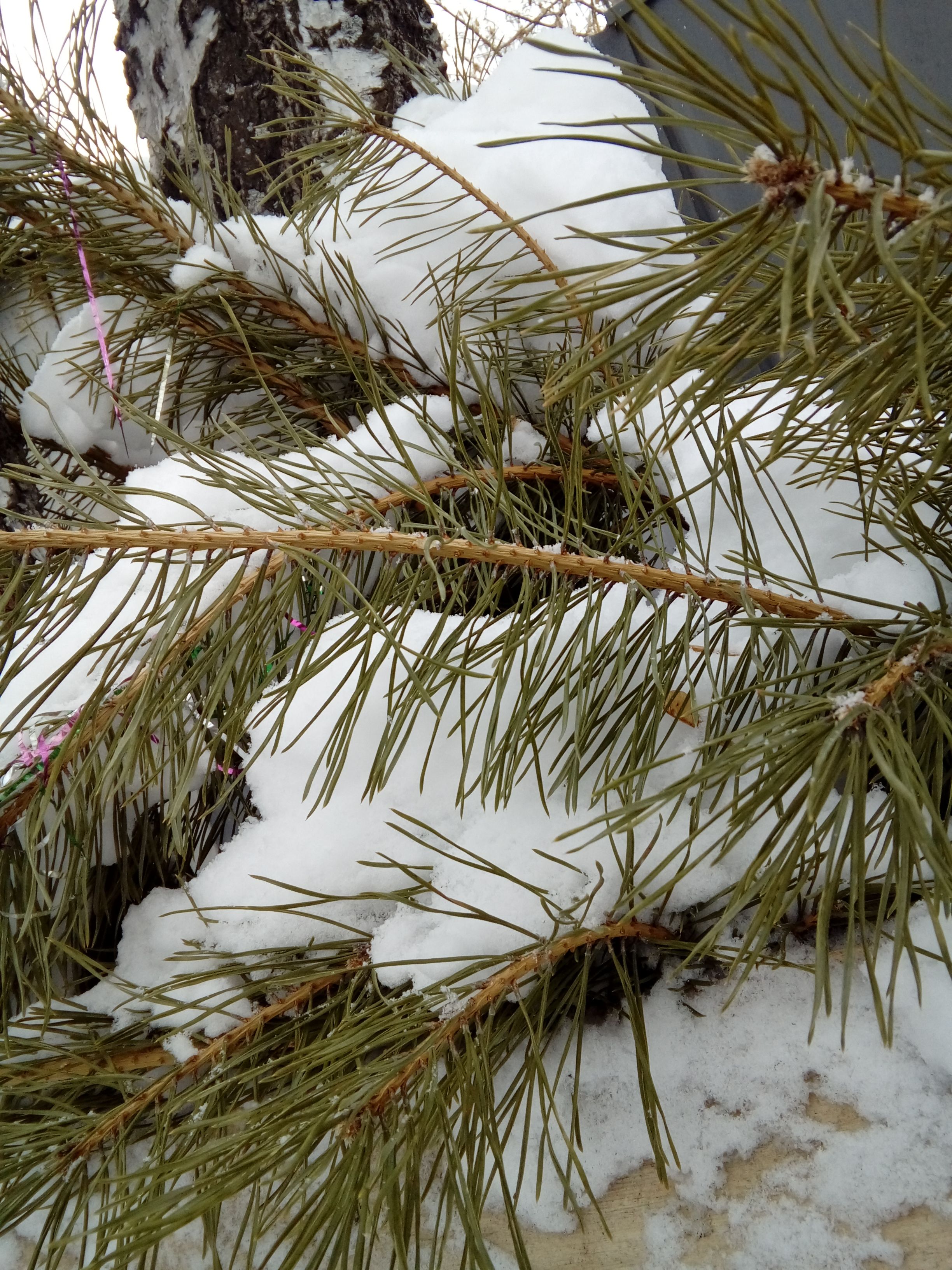 20180310_135848.jpg