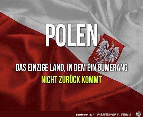 006a07d867e0b4ce60168f4f2e646715--poland-humor.jpg