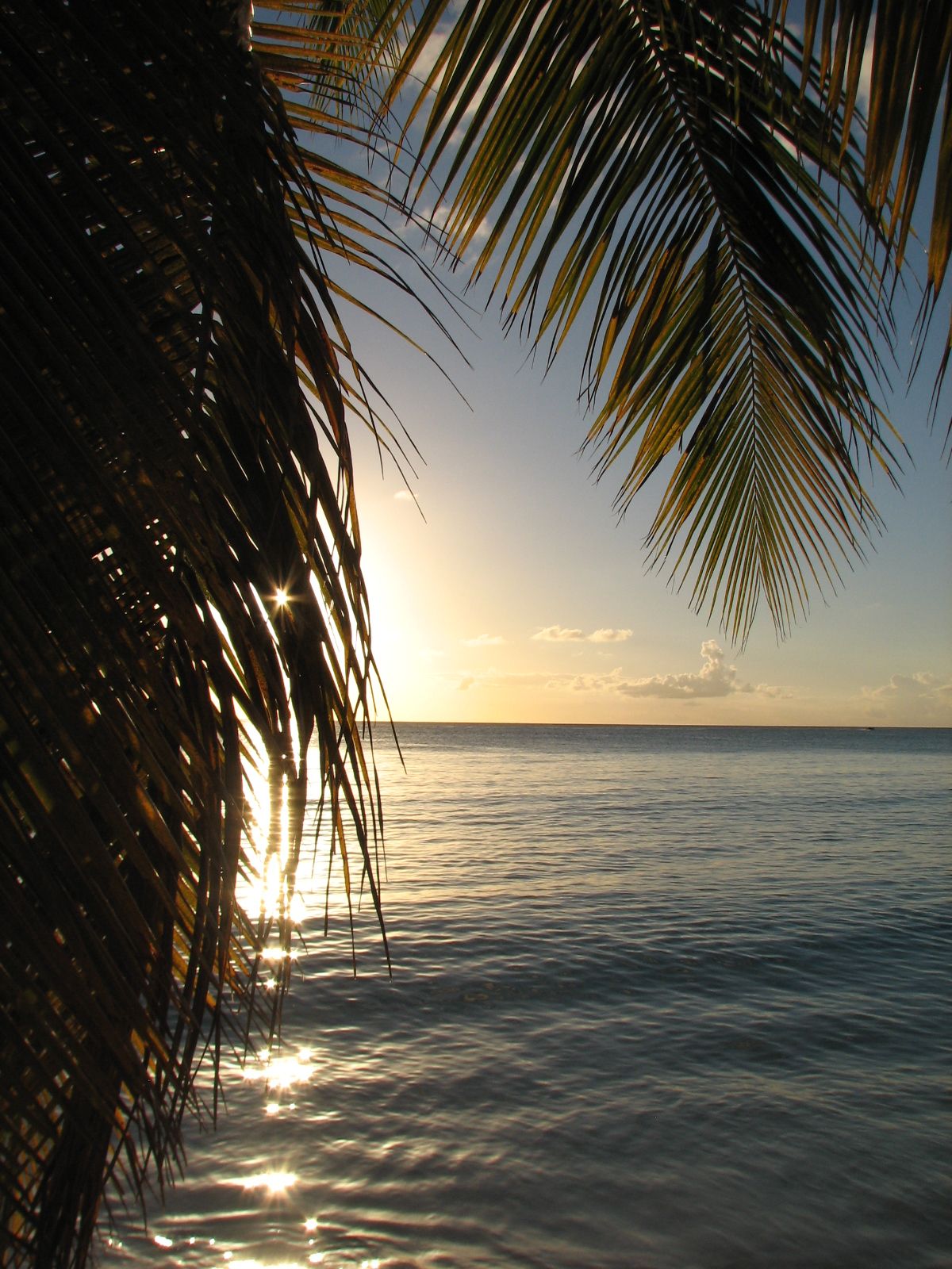 Les Salines - Sainte Anne - Martinique 10.jpeg