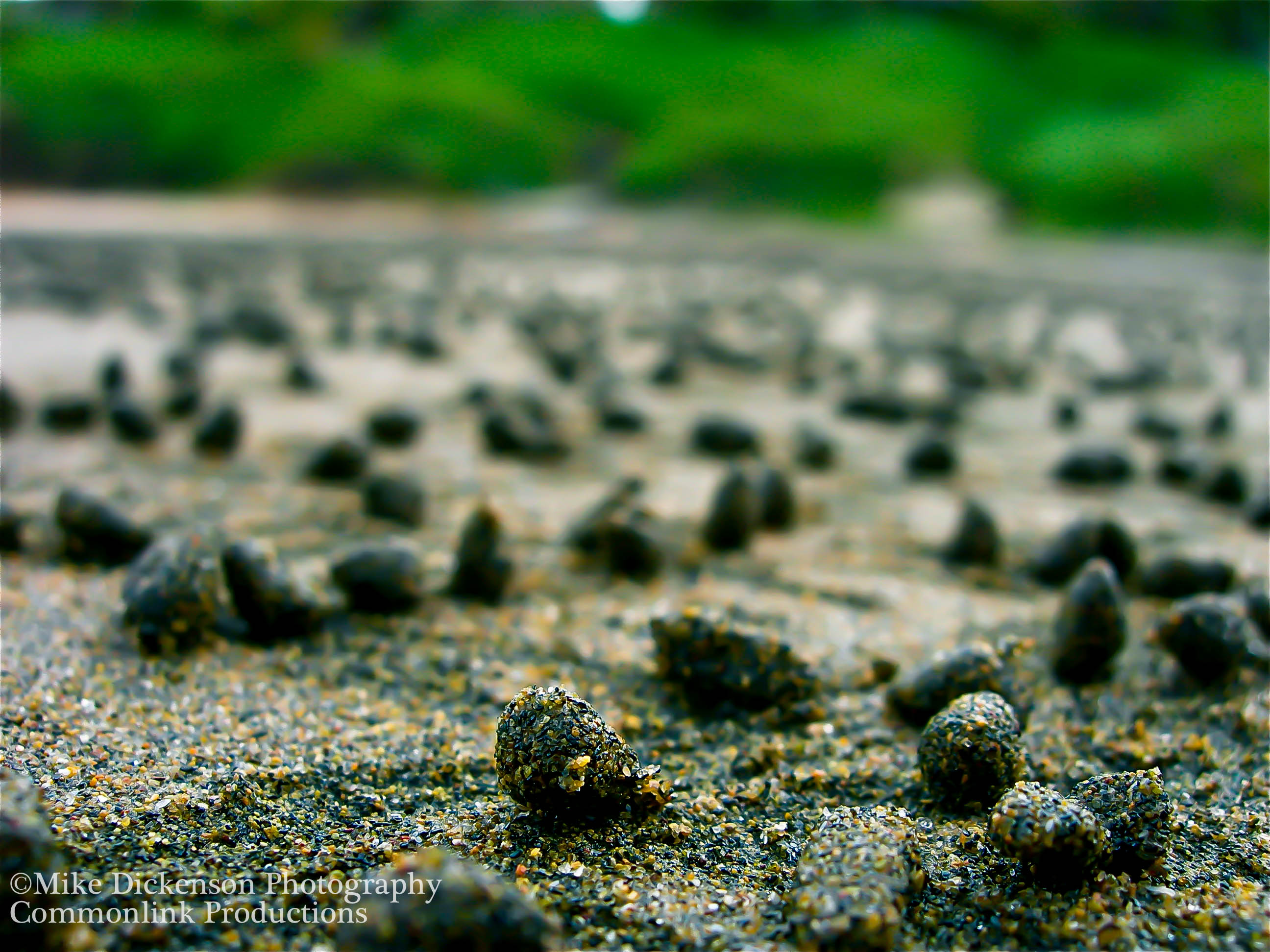 sand balls.jpg