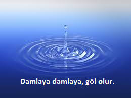 images (21).jpeg