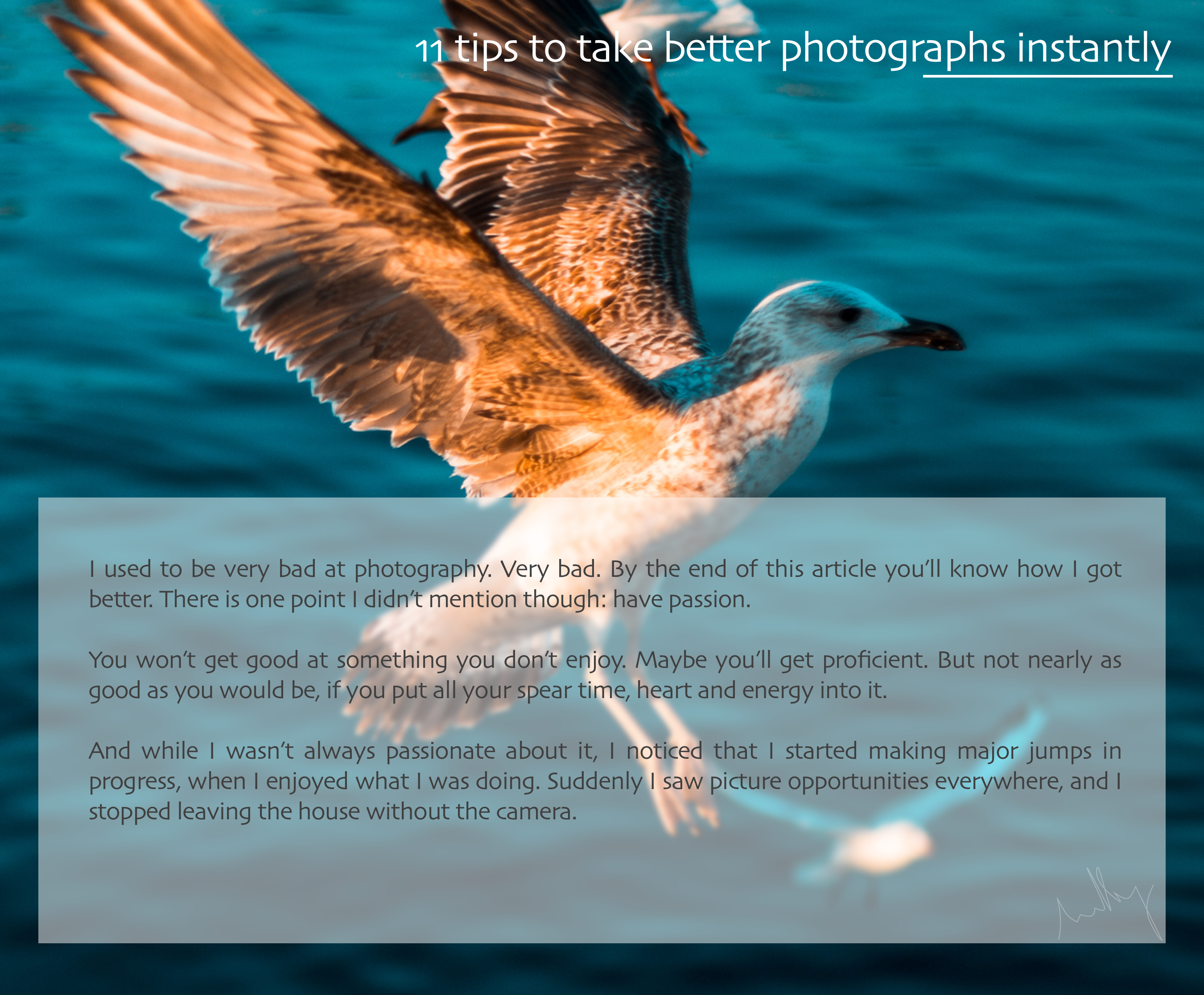 11 Tips to take better pictures inmediatly.jpg