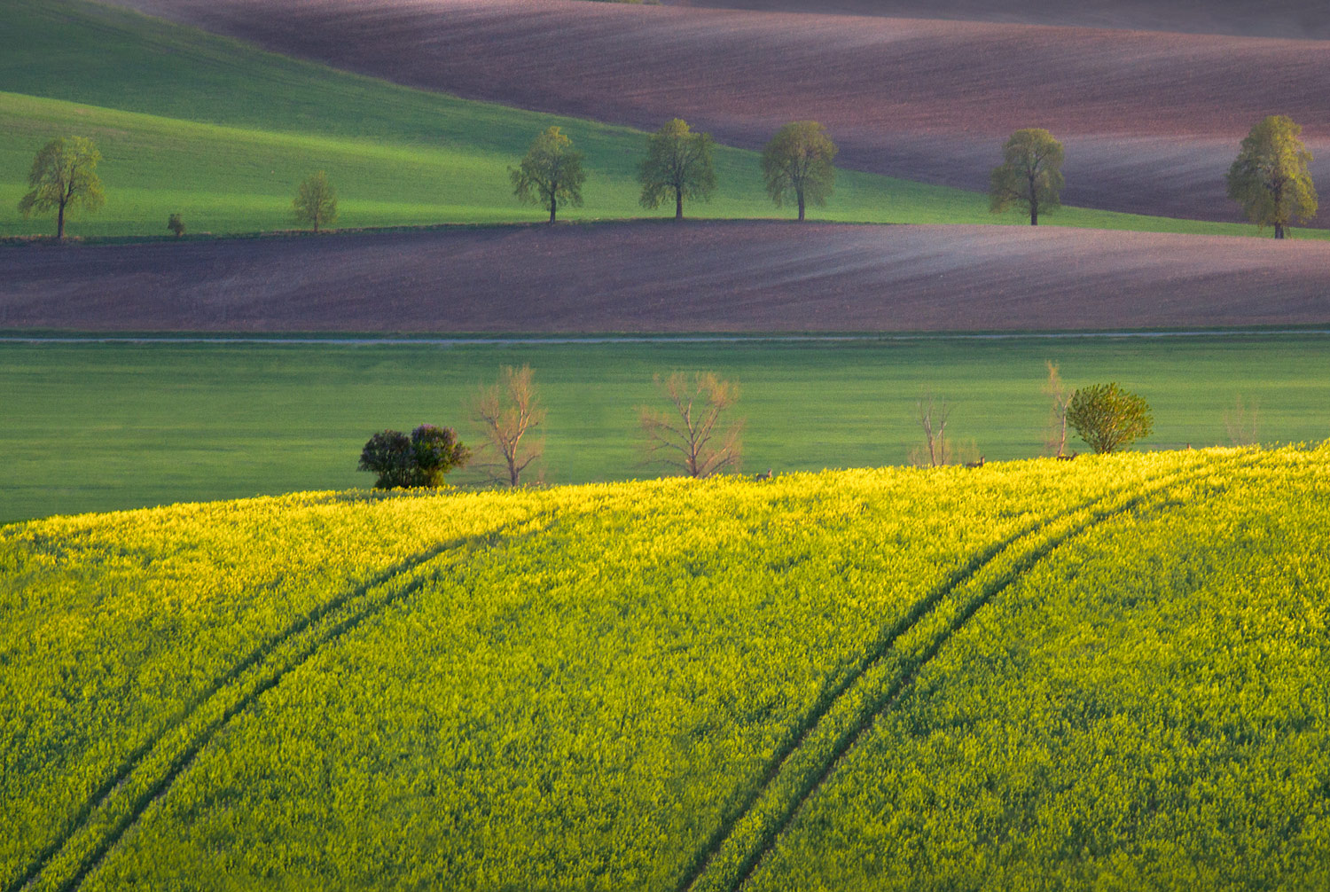 1445528400-beautiful-fields-of-moravia-czech-republic-04.jpg