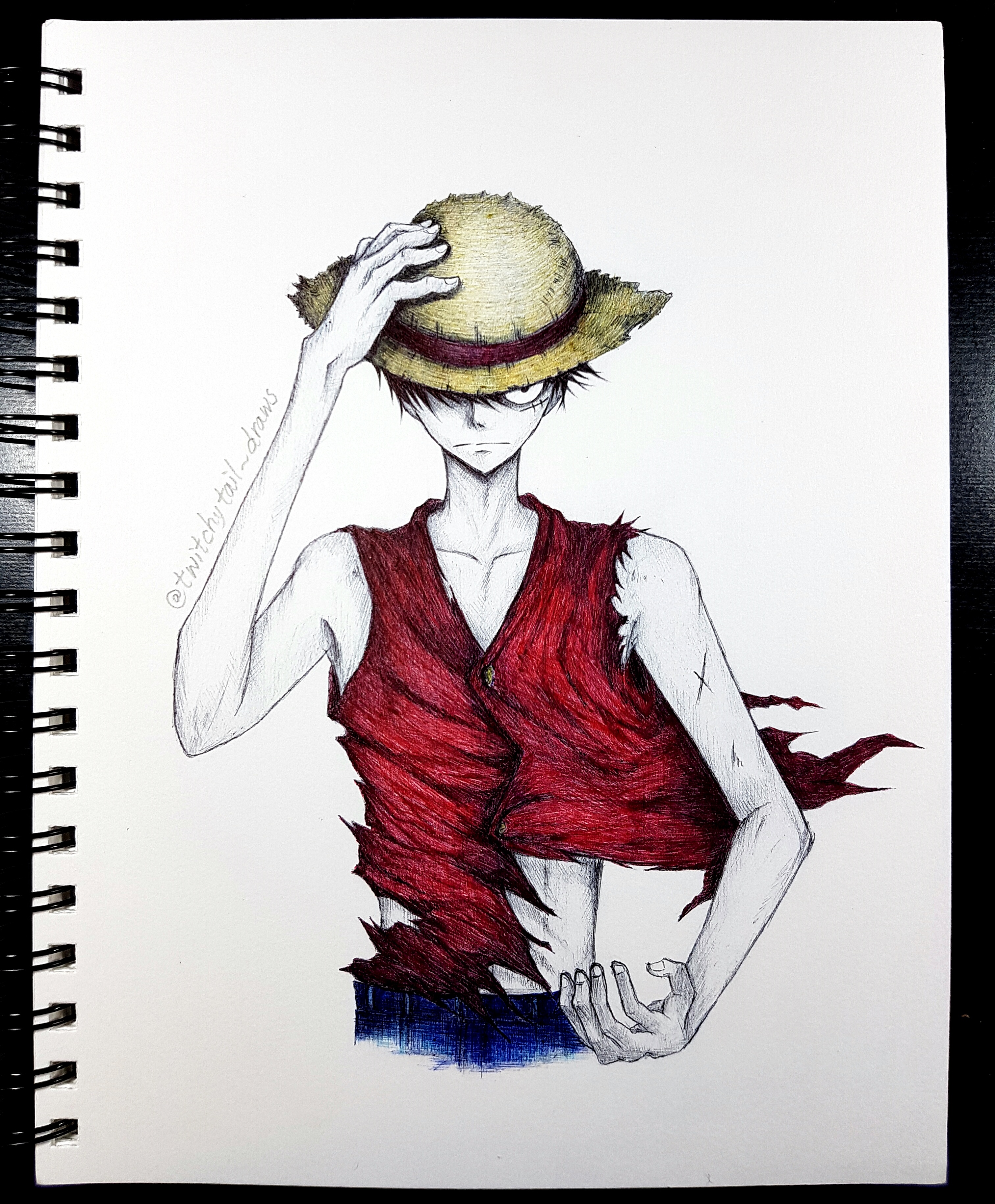 Coloured Fan Art Of Luffy From One Piece Reference Used Steemkr