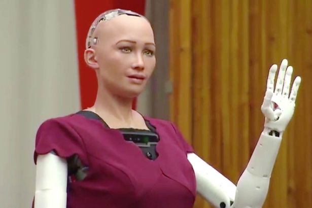 information about sophia the robot