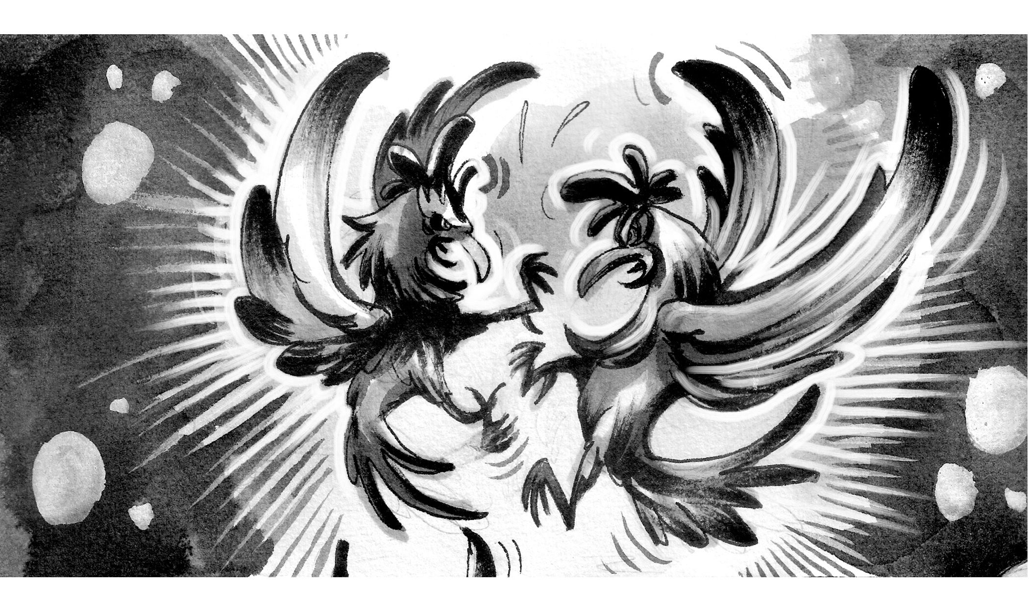 Ayam_06.jpg