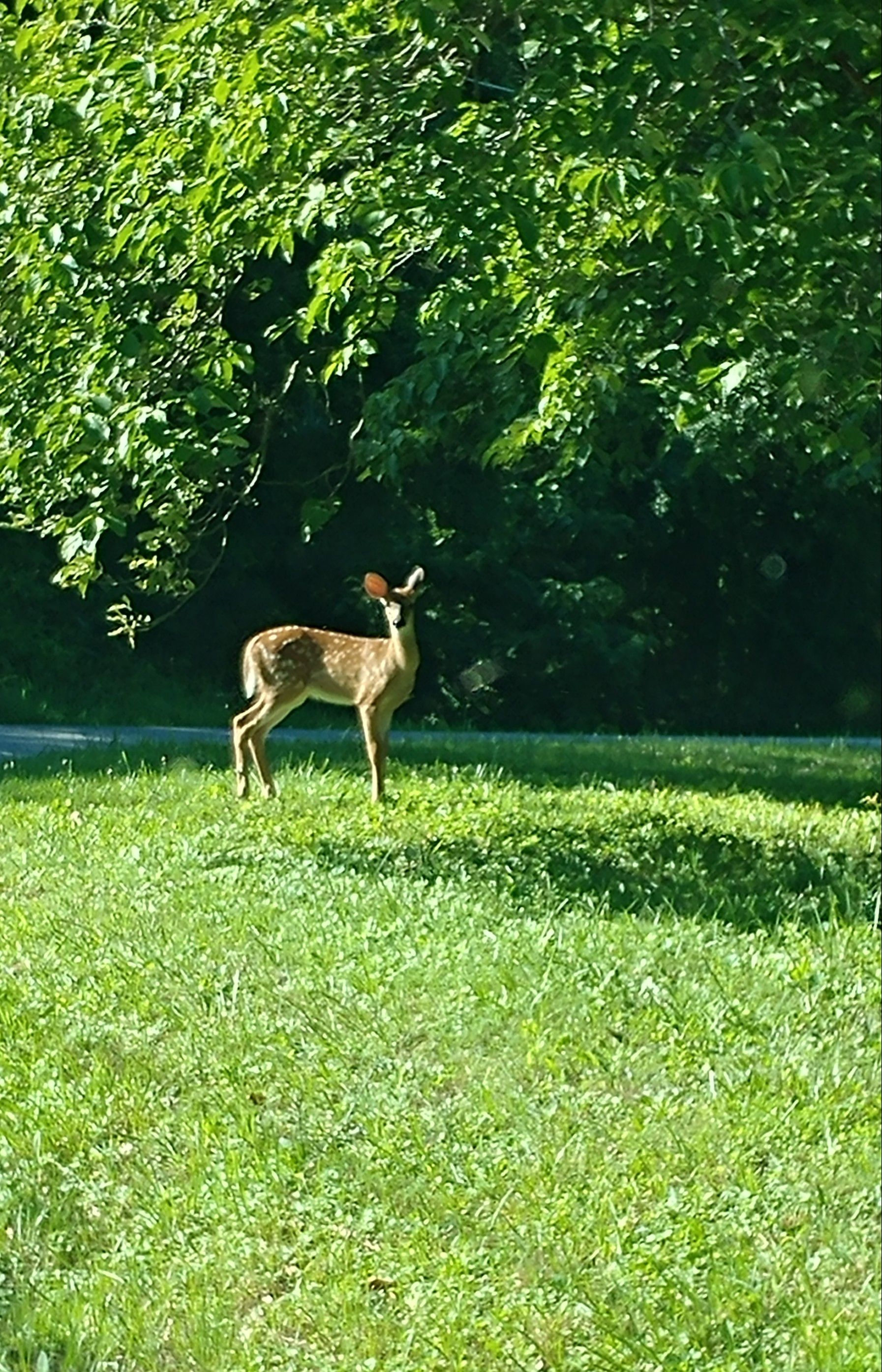 0709171721-2.jpg