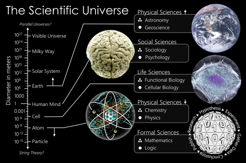 800px-The_Scientific_Universe.png