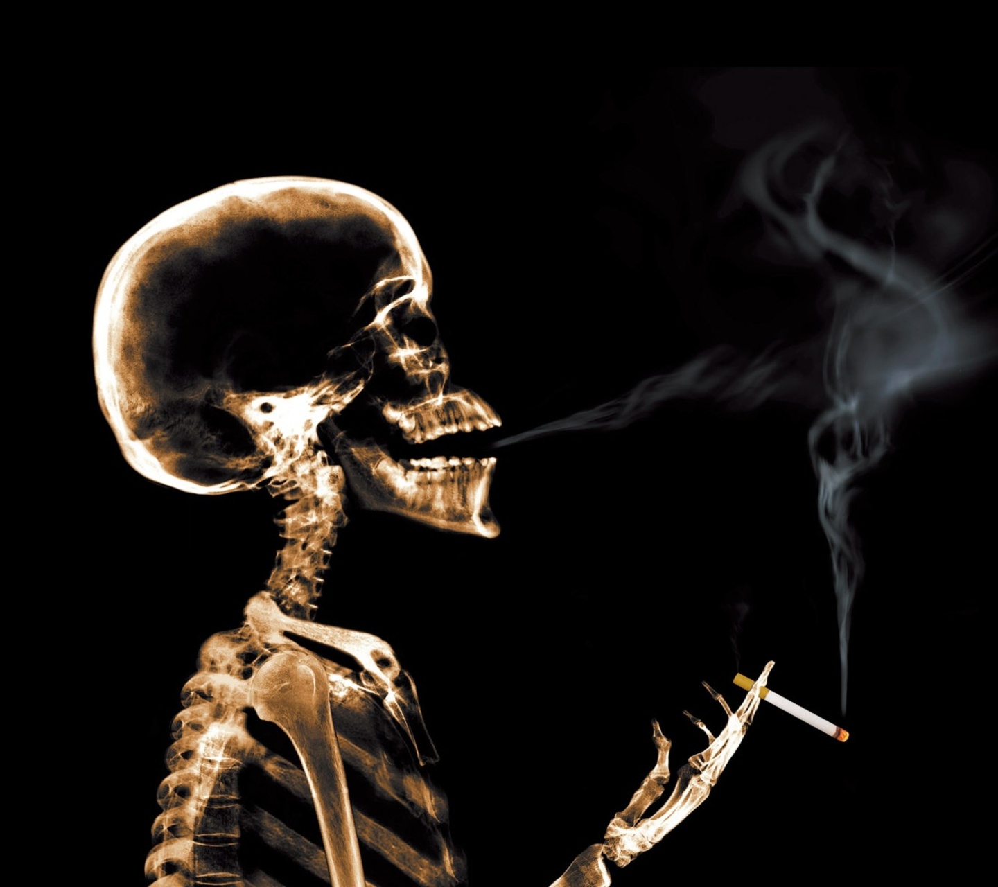 Smoking_Skeleton-wallpaper-9365326.jpg