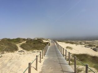 IMG_1876.JPG