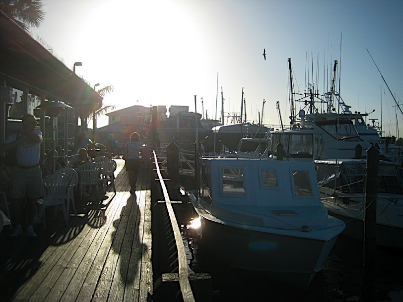 IMG_6862.jpg