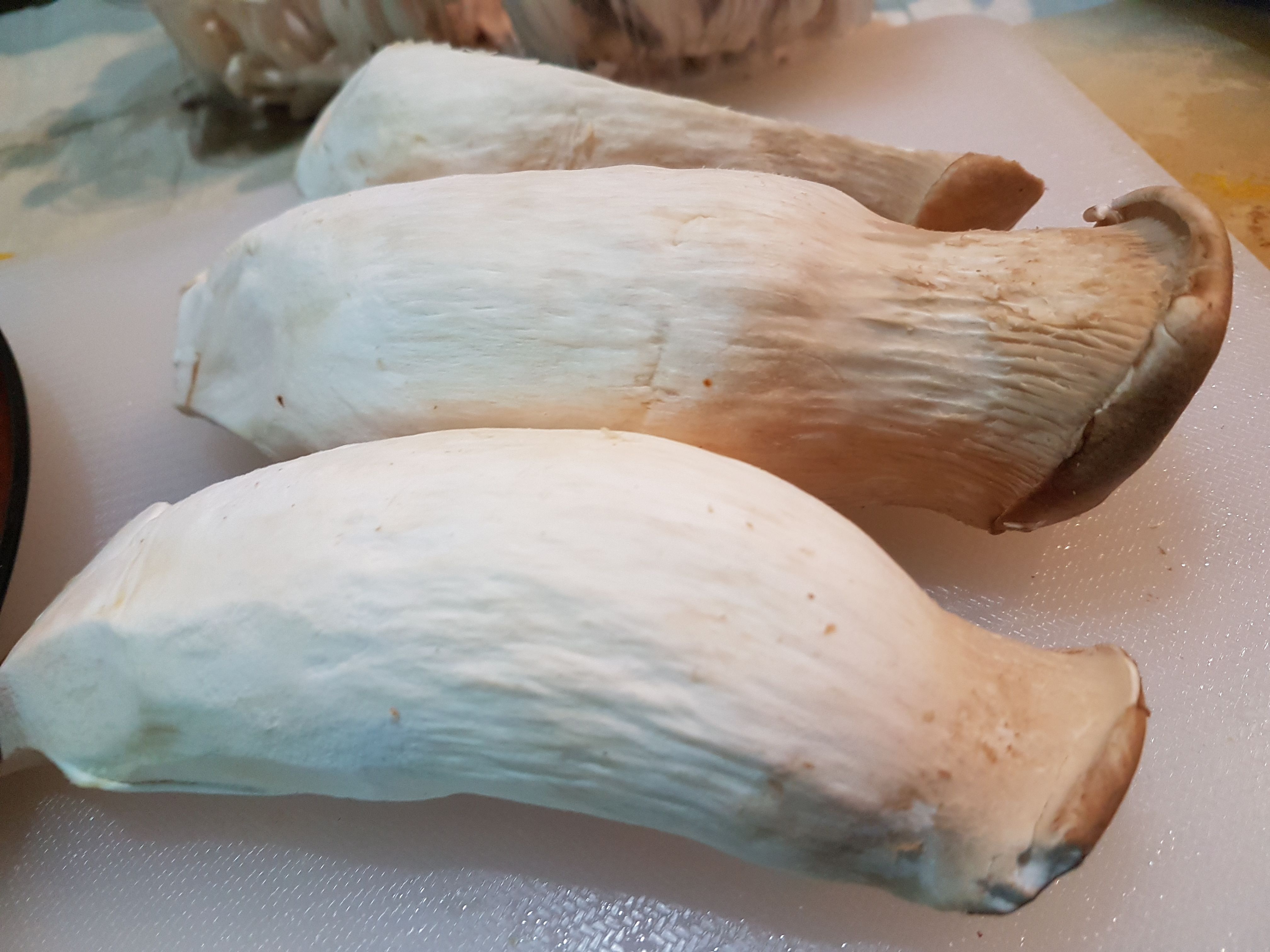 20171111_104438.jpg