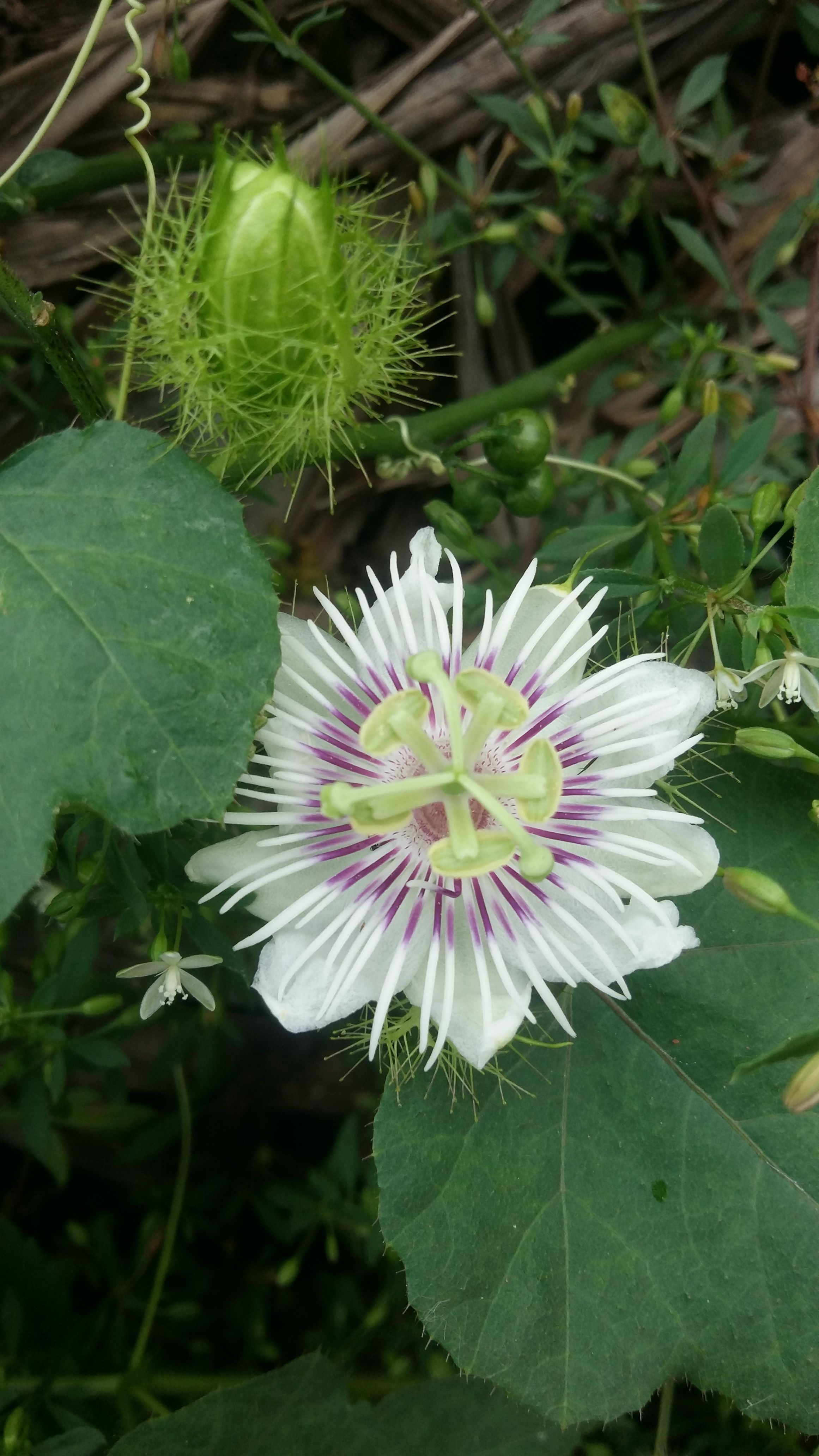 20180419_094534.jpg