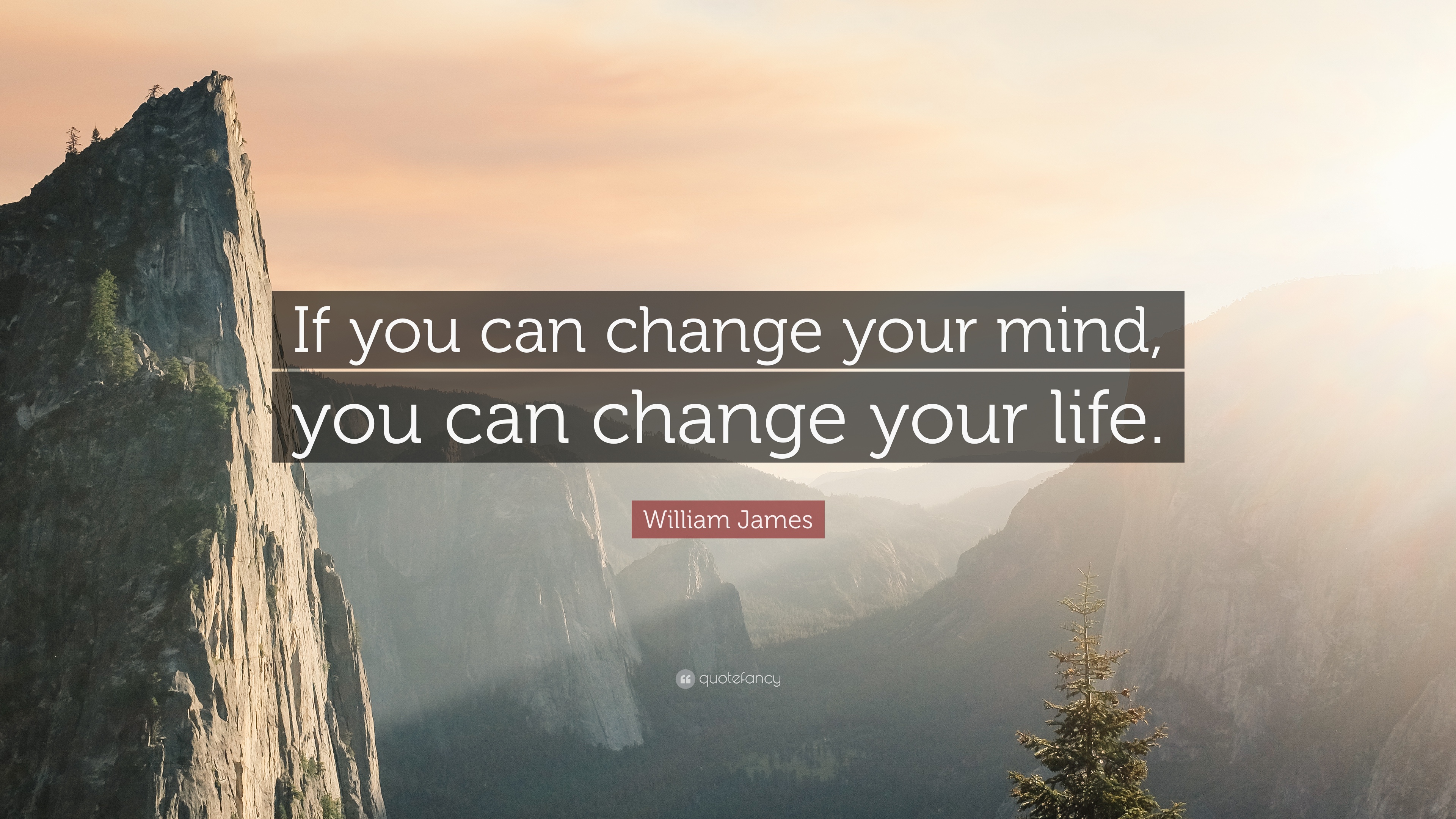 20920-William-James-Quote-If-you-can-change-your-mind-you-can-change.jpg