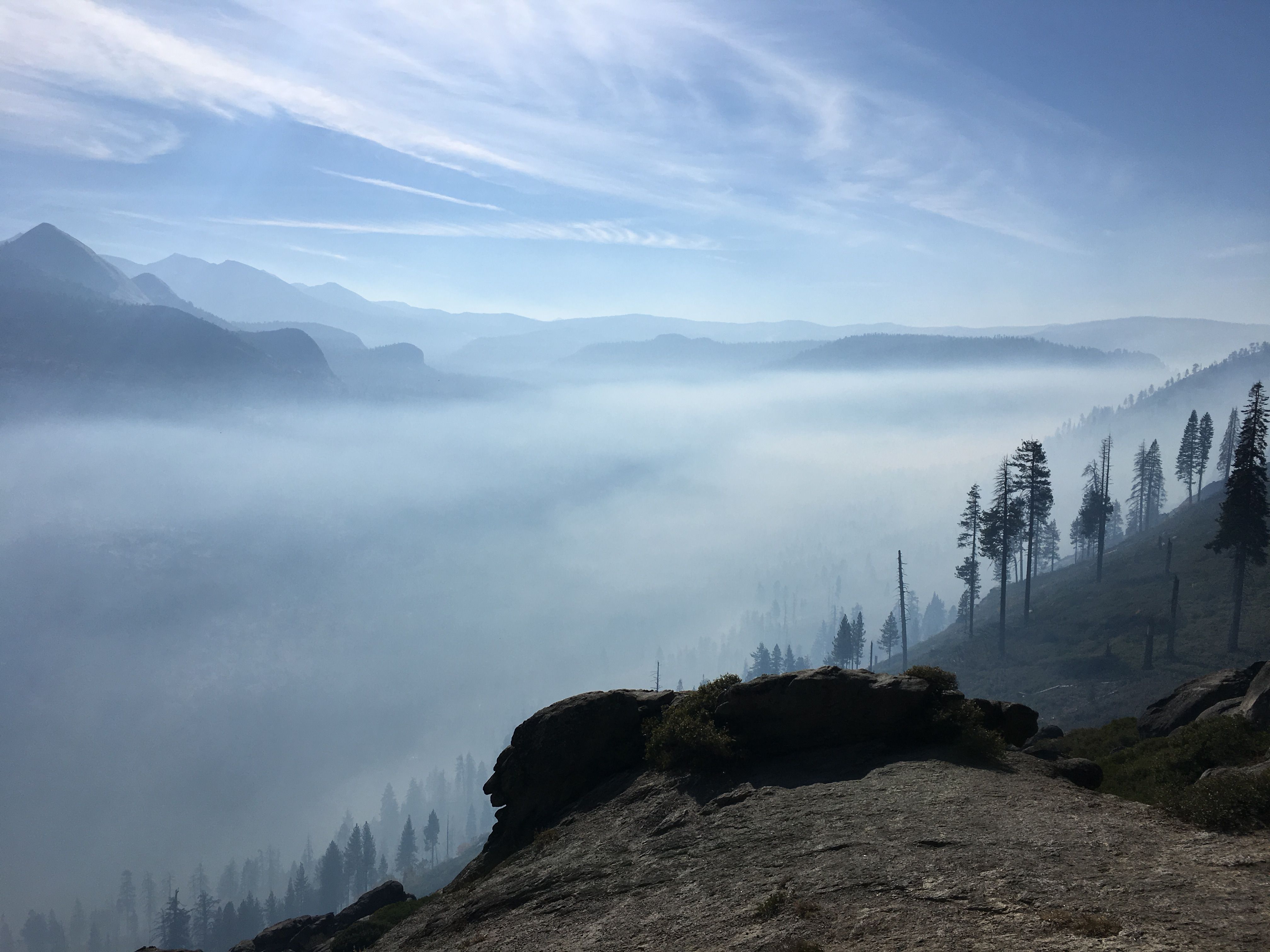 B3EACBC5-217E-4D61-A623-7E542C596527.jpeg