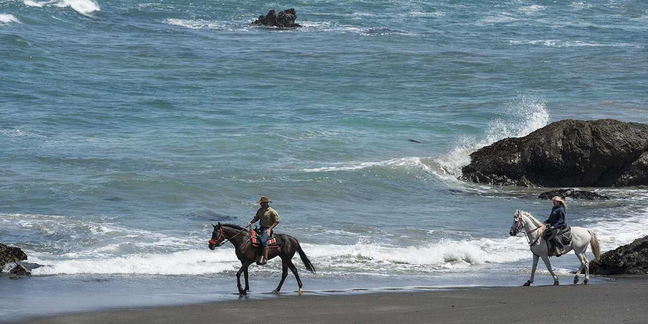 VC_MarineSanctuaries_Module1_TenMileBeach_Stock_ED_564087637_1280x640.jpg