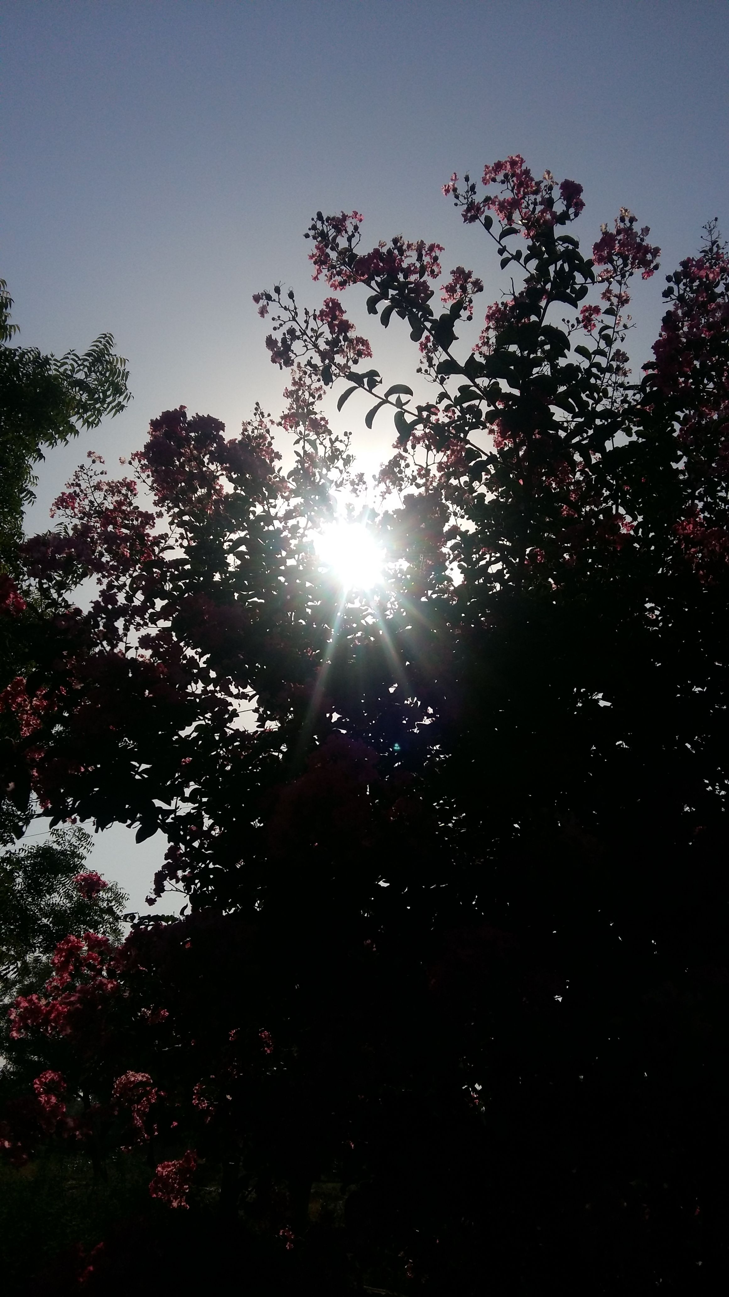 20170612_075612.jpg