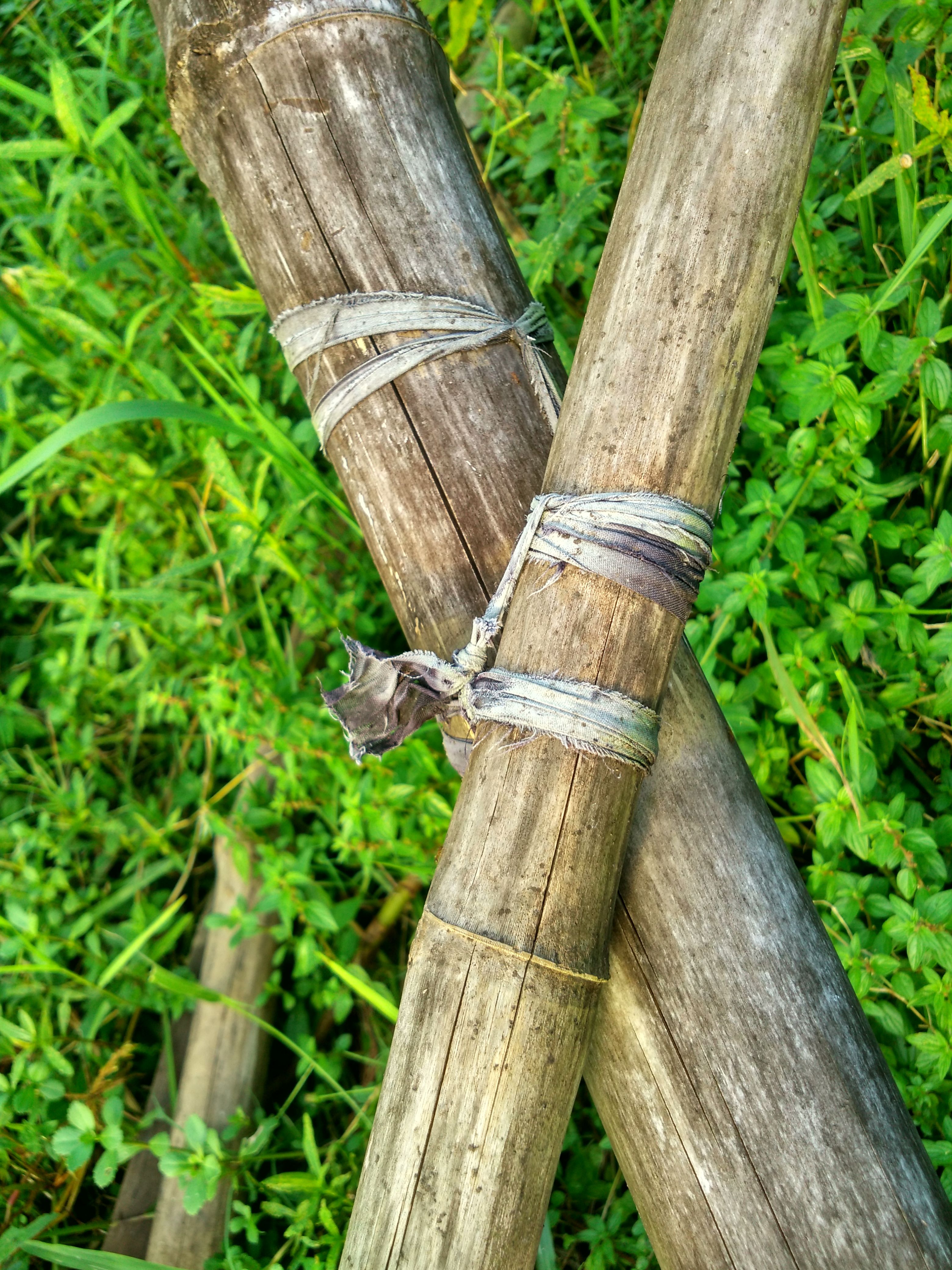 IMG_20170806_165305_HDR.jpg
