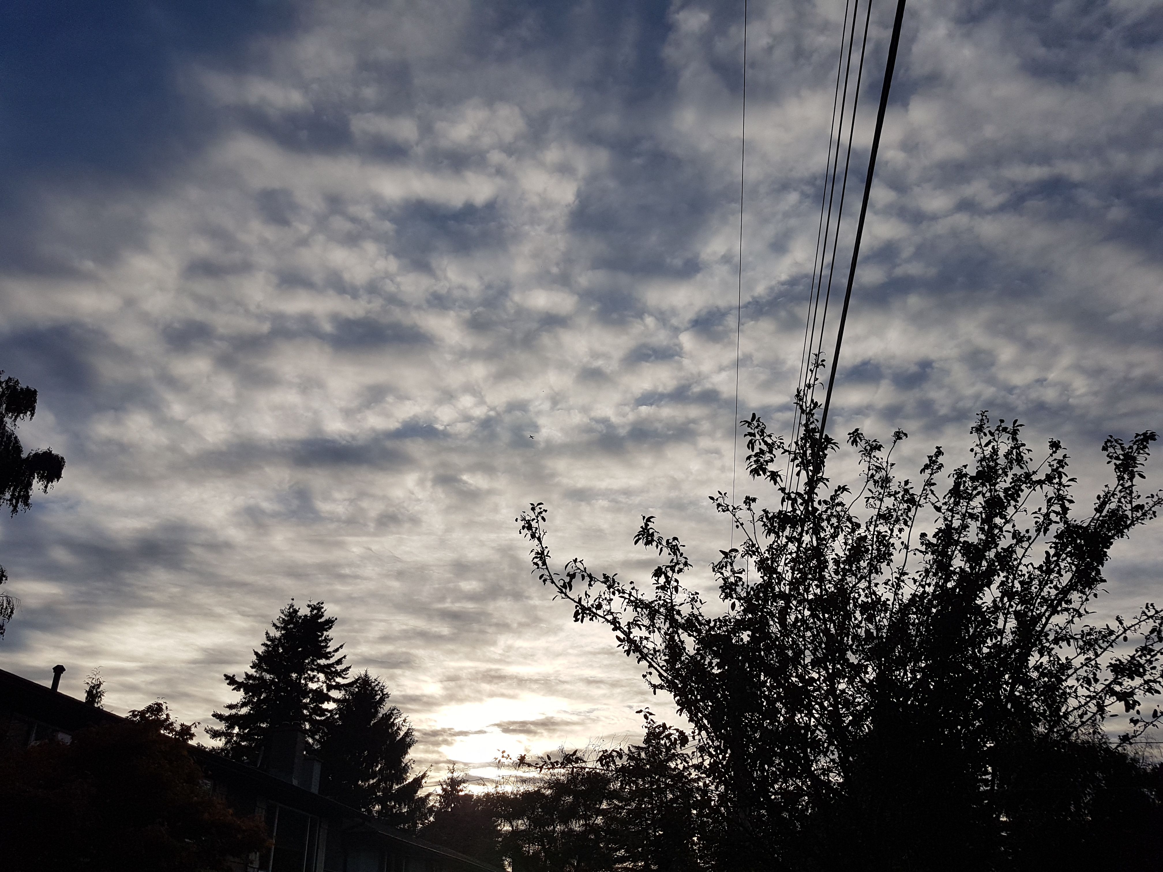 20170922_175830.jpg