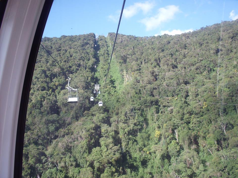 12239907_10207549159828416_3376025870681084278_n (1).jpg