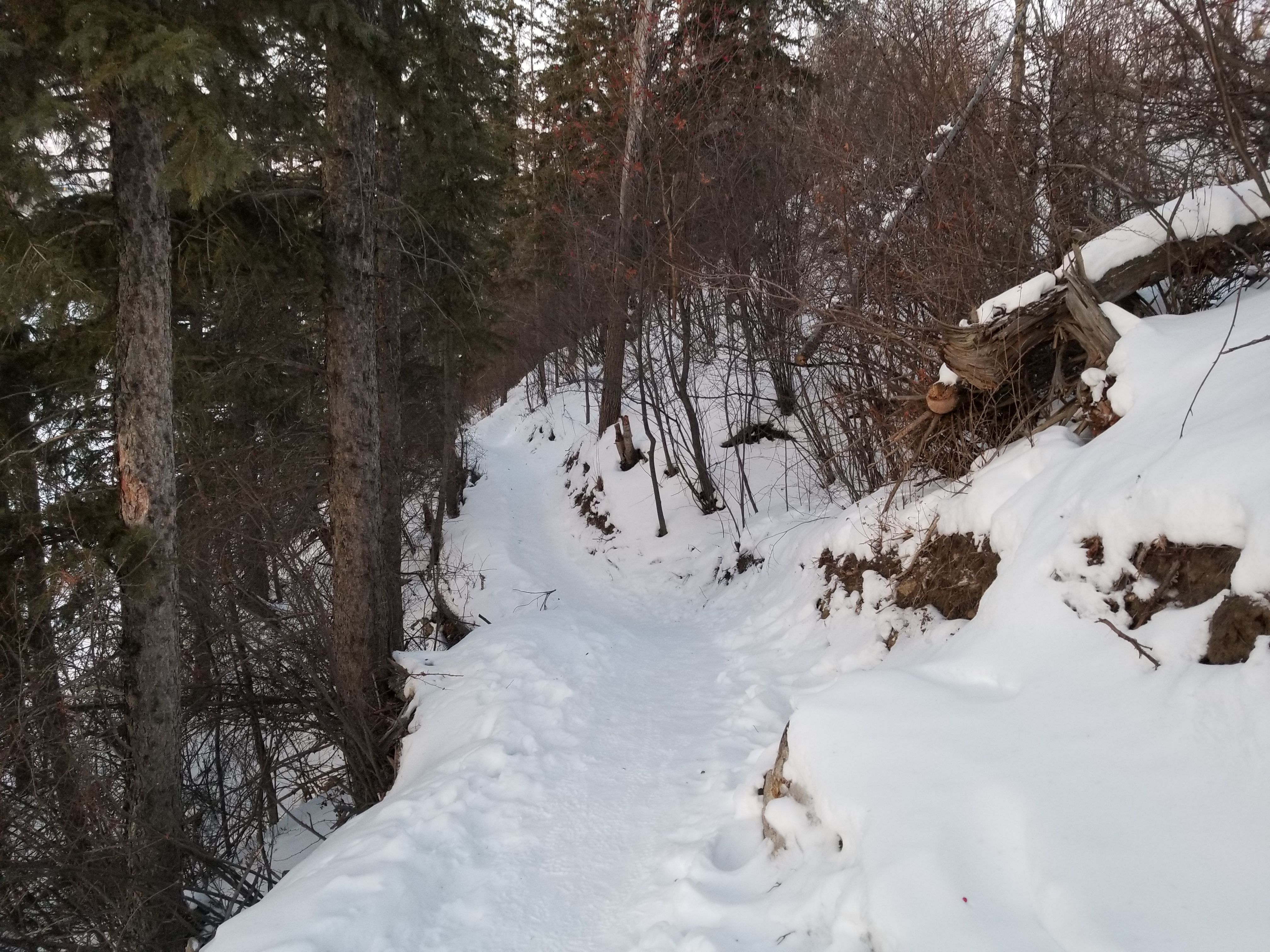 20180220_180321.jpg