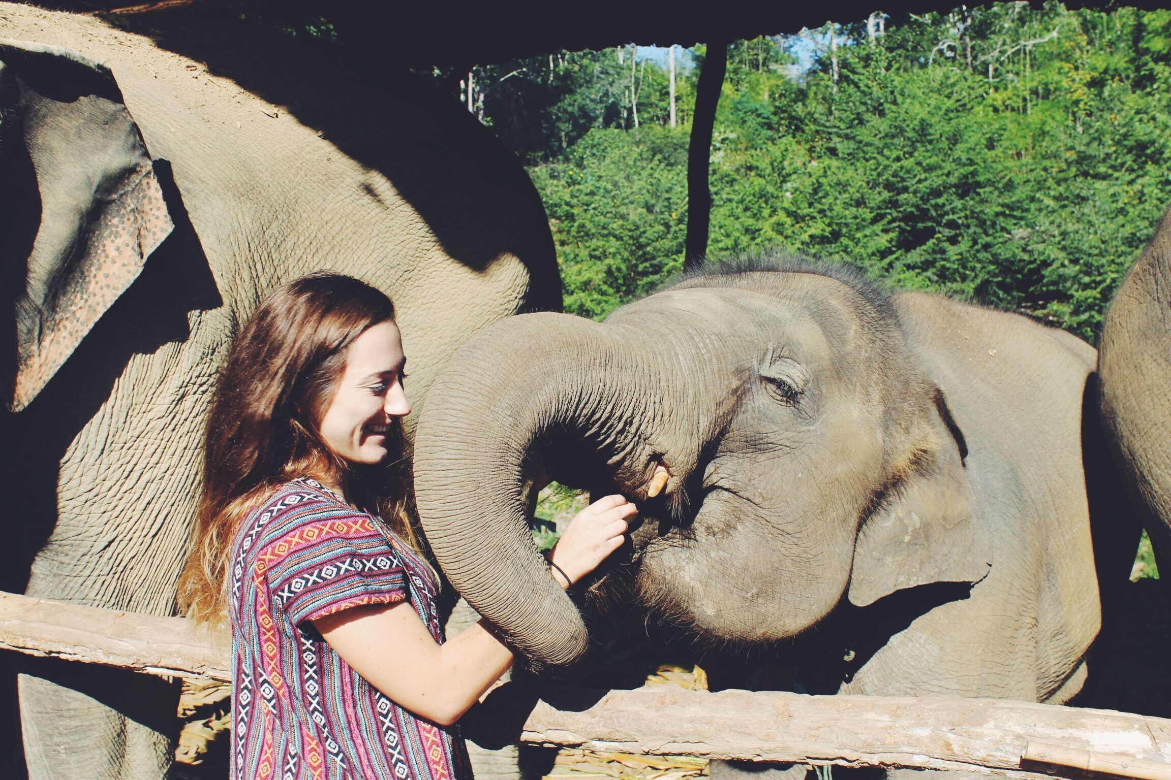 elephant sanctuary 17.JPG