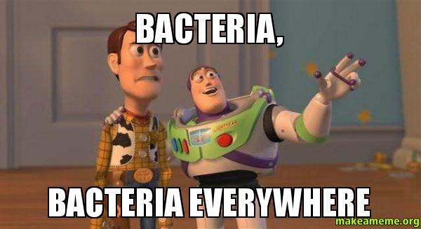 Bacteria-Bacteria-Everywhere.jpg