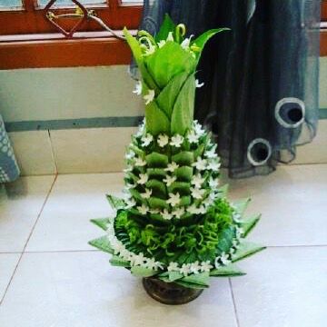 IMG-20180206-WA0038.jpg