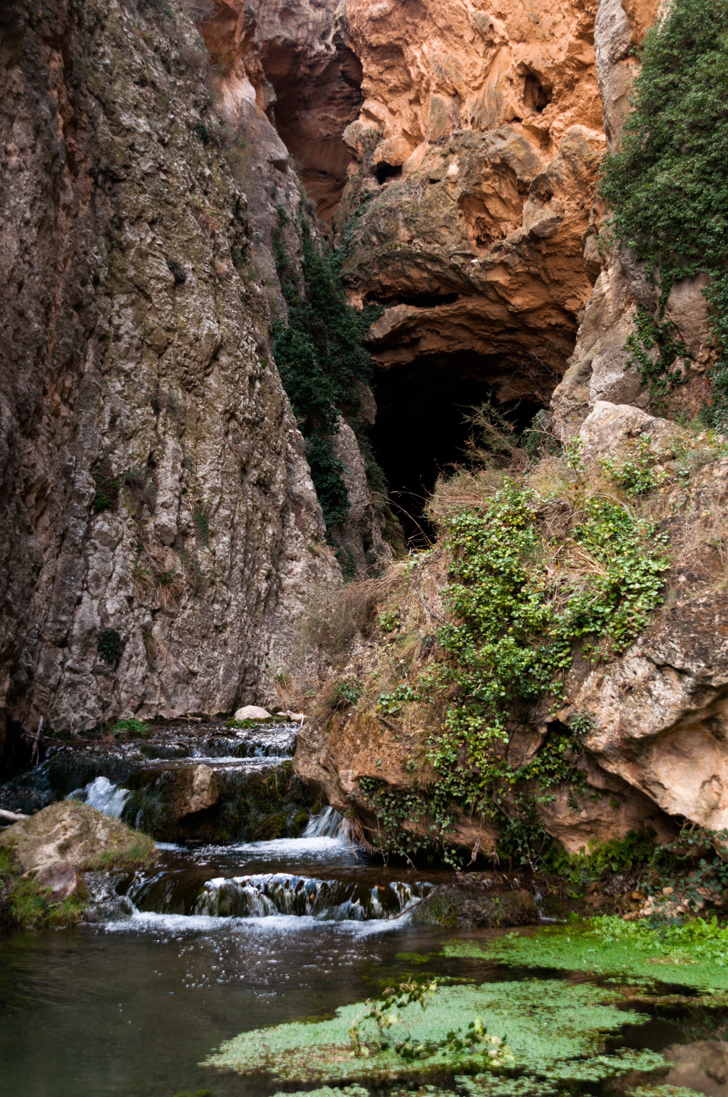 Excursión Martín del Río (53).jpg