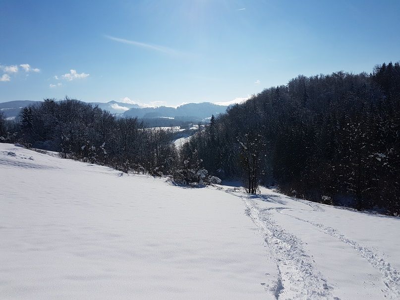 20180204_133101.jpg
