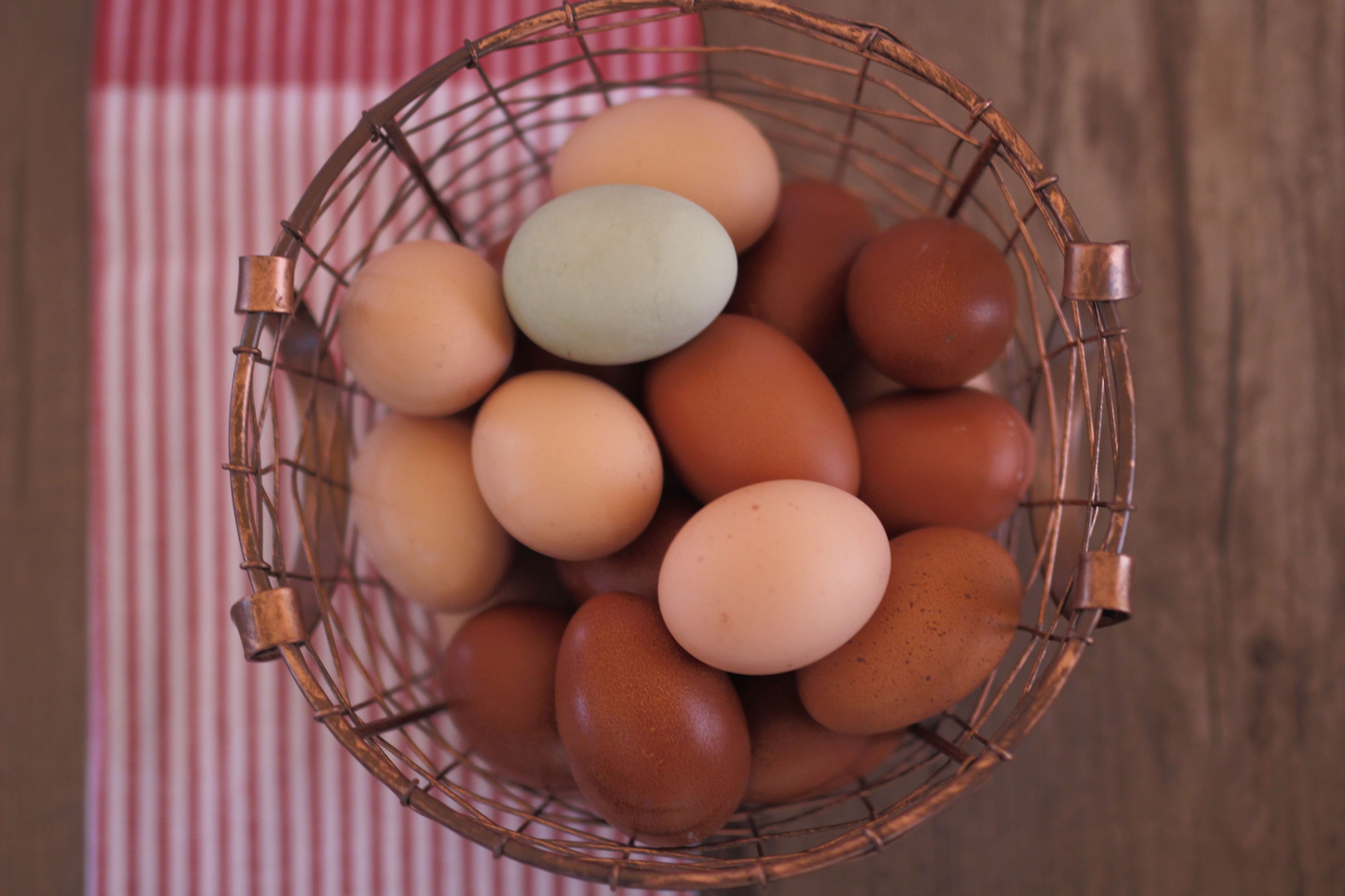 Storing and Preserving Chicken Eggs