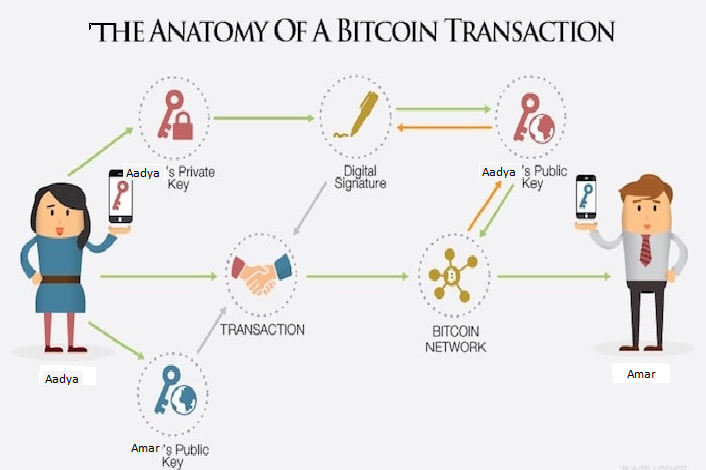 Anatomy of Bitcoin.png