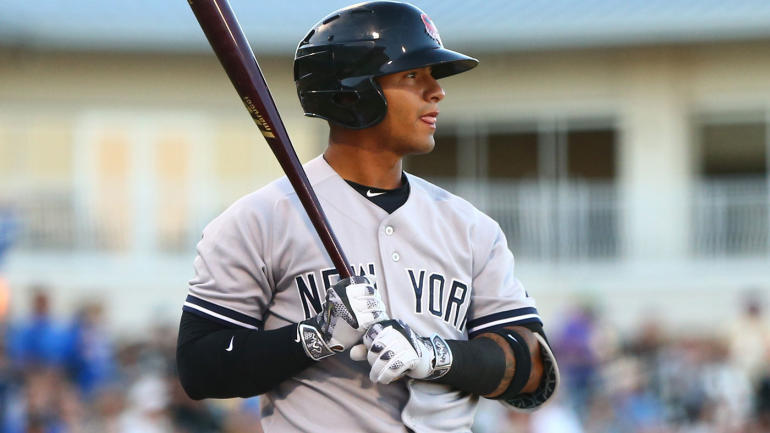 gleyber 02.jpg